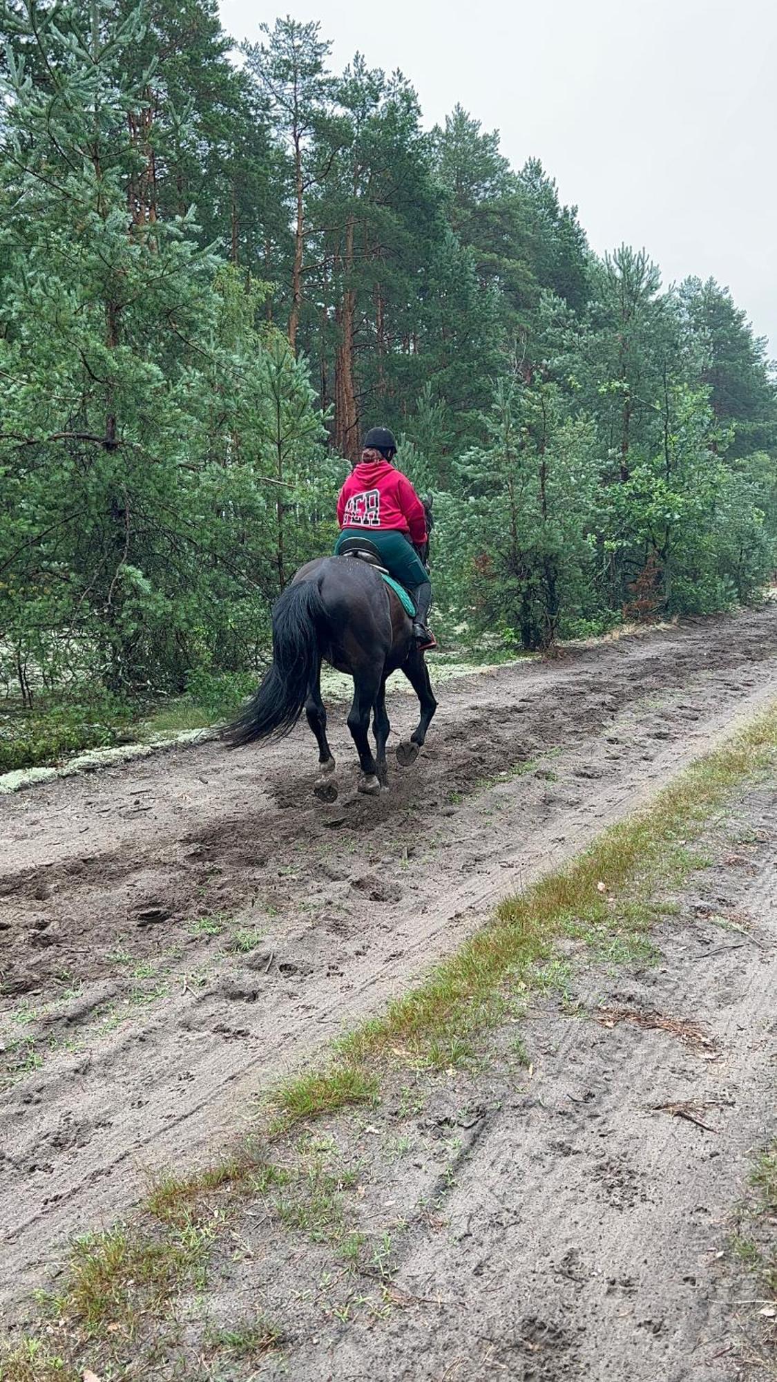 Agro-stajnia Rudniki (Wolomin)