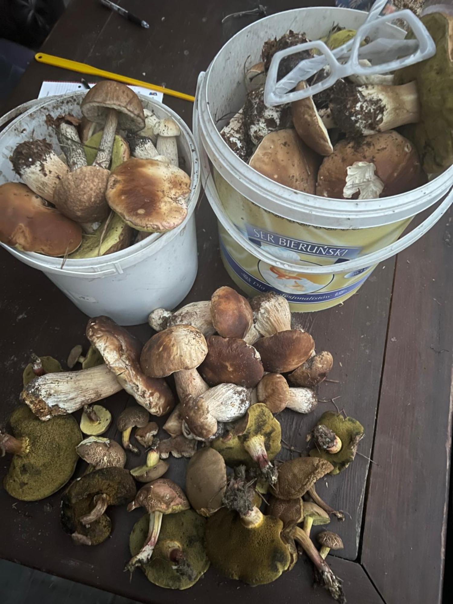 Privatunterkunft Agro-stajnia *